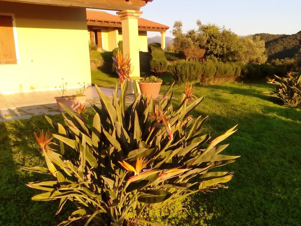 Majori Villa Fluminimaggiore Exterior photo